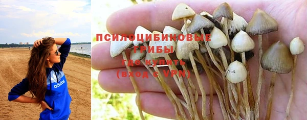 наркотики Белокуриха